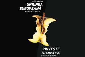 Partida şi partidele