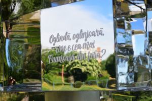 O piesa de mobilier urban inedita si-a facut aparitia in Parcul Tabacarie din Constanta (galerie foto)