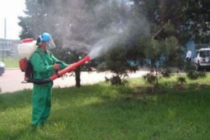 A inceput DEZINSECTIA in Ploiesti. Norocul nostru e ca suntem in an electoral