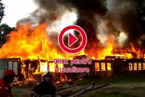 Incendiu violent în zona fostelor sere