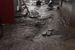 FOTO! 20 de pompieri intervin în gospodăriile inundate dintr-o localitate din judeţul Botoşani