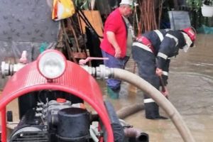 Ploi torenţiale şi grindină în judeţul Tulcea. Curţi inundate, culturi distruse 