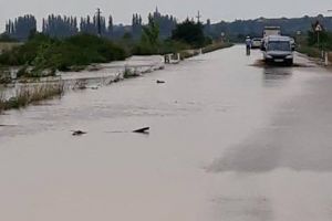 Inundaţii în Răteşti! Drumul spre Cluj blocat pe un sens, mai multe gospodării au fost inundate