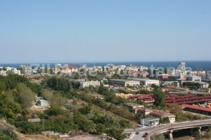 Cine va desfasura activitatea de amenajare si intretinere spatii verzi si parcuri in portul Constanta (document)