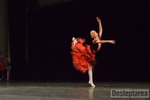 Attitude Ballet Festival
