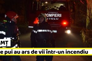 NEAMȚ: 35 de pui au ars de vii într-un incendiu la o gospodărie din Neamţ