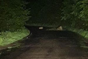 Căderi de stânci pe DN 12B, lânga Târgu Ocna