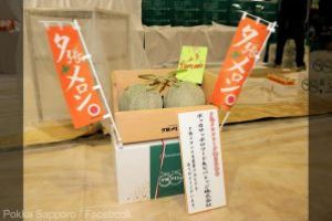 Japonia – Doi pepeni galbeni, vanduti la licitatie cu suma record de 40.800 de euro