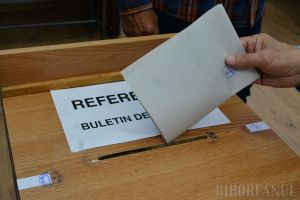 Merg oamenii la vot! Vezi prezenţa la urne în ţară şi în Bihor la europarlamentare şi referendum