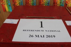 Neregulile la alegeri, in tara si in strainatate: Influentarea deciziei de votare, stampile puse eronat pe buletine, ingreunarea scrutinului