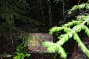 Aproape 3.000 de pachete cu tigari gasite pe Valea Viseului