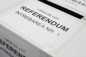 Cvorum la referendum în judeţul Satu Mare. Peste 30% dintre sătmăreni au răspuns la cele două întrebări
