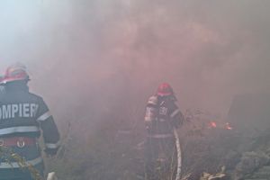 Incendiu în Paleu: O persoană a murit carbonizată