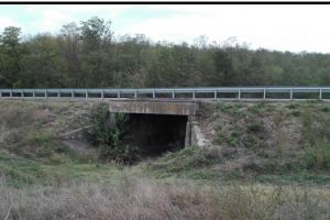 Anunt DRDP Constanta:  Podul de pe DN3 Km 205+970, la Deleni, peste paraul Valea Baciului, va fi reabilitat (document)