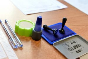 Rezultate parţiale Referendum Satu Mare: Aproape 80% au votat DA