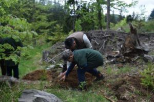 Covăsnenii s-au alăturat campaniei „Luna plantării arborilor”. Numeroşi tineri au răspuns „prezent”!  „Am înţeles că viaţa unui arbore se aseamănă, oarecum, cu viaţa omului”