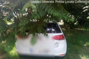 Zeci de amenzi aplicate de politistii locali din Constanta in week-end.  Ce nereguli au fost sanctionate (galerie foto)