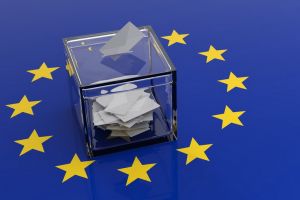 Alegeri în Europa: Popularii europeni au cele mai multe mandate, dar şi verzii au un succes istoric. În Ungaria, partidul anti-UE, FIDESZ, a câştigat fără drept de apel