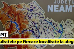 NEAMȚ: Rezultatele pe fiecare localitate, la alegeri europarlamentare 2019, în Neamţ