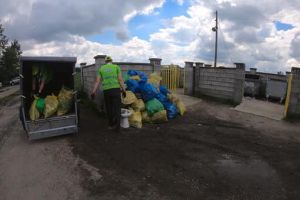 Arădenii îşi bat joc de natură! Acum 102 de saci cu GUNOAIE, anul trecut, în acelaşi loc,150. Atât au strâns EcoHoinarii în Pădurea Ceala! (GALERIE FOTO)