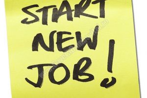 536 de locuri de muncă disponibile pentru persoanele aflate în căutarea unui job