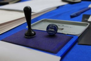 REZULTATE PARTIALE alegeri europarlamentare Maramures: Cate voturi a obtinut fiecare partid