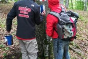 „Salvamont” a început reabilitarea traseelor turistice din zona Băile Balvanyos