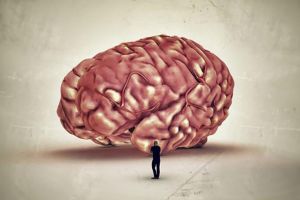 Omul deştept nu ia muntele în piept