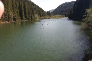 Misiune de căutare a unui copil dispărut din Staţiunea Lacu Roşu