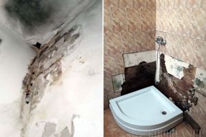 Internat la Psihiatrie pentru că a pus rahat la sediul PNL Bihor, Daniel Ivanov a filmat condiţiile mizere. Managerul Dacian Foncea confirmă: 