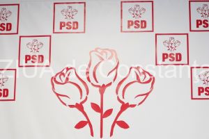Discutii in PSD. Unii membrii cer alegeri anticipate. Cine e preferat la conducerea partidului