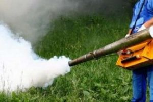 Activitate de dezinsecţie la Târgu-Mureş