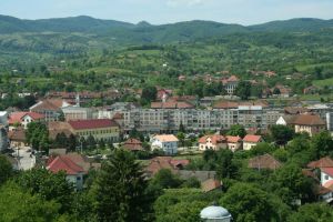 PSD a câştigat alegerile europarlamentare la Brad