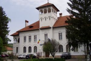 ALDE prinde locul 3 la Geoagiu, oraş condus de un primar al partidului. PNL, pe prima poziţie