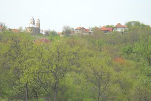 Singura localitate din judeţ în care ALDE a câştigat alegerile europarlamentare