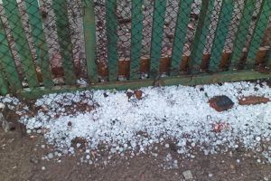 S-a abătut grindina asupra judeţului Bihor. În Oradea, furtuna a şi doborât trei copaci