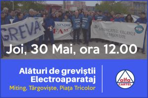 Joi, adunare publică pe Platoul Prefecturii pentru susţinerea salariaţilor SC Electroaparataj SA, aflaţi în grevă generală