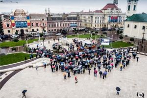 Armata (nu) e cu noi! Ministerul Apărării a ordonat boicotarea dezvelirii statuii Regelui Ferdinand