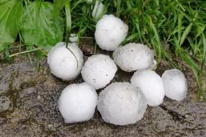 COD ROȘU de vreme severă pentru judeţul Dolj