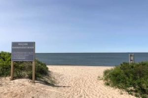 Verde Urban“ propune autoritatilor din zona de nord a statiunii Mamaia pana la Navodari implementarea modelului de protectie a mediului costier aplicat si in Statele Unite 