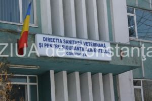 Directia Sanitara Veterinara si pentru Siguranta Alimentelor Constanta angajeaza sofer