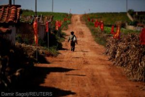 Raport ONU: In Coreea de Nord, mita este necesara pentru supravietuire
