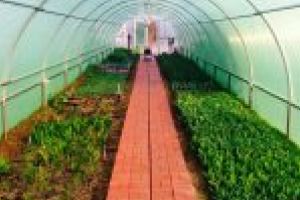 Solariile, un must have, in Romania lui 2019