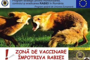 DSVSA Ialomiţa: Vaccinarea antirabică aeriană a vulpilor – campania de primăvară