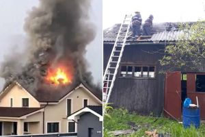 Două incendii provocate de trăsnet în Bihor. Mai mulţi copaci doborâţi de vijelii şi inundaţii (FOTO)