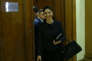 EXCLUSIV! Am aflat de ce nu i-a răspuns la telefon Ana Birchall lui Liviu Dragnea
