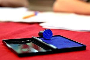 Rezultate finale oficiale în Timiş: USR-PLUS câştigă alegerile europarlamentare cu 32,34 la sută