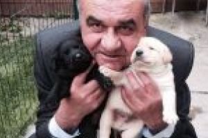 PSD si-a pus inca o marioneta in Adunarea Generala a Handbal Club Dunarea Braila