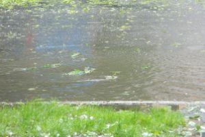 O noua zi, un nou cod: Se asteapta furtuni in Maramures