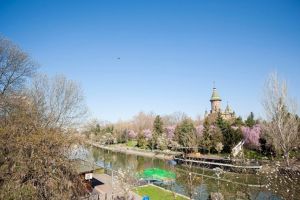 PMT alocă 10 milioane de lei în 2019 pentru programul Timişoara Capitală Culturală